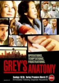 Анатомия страсти (Анатомия Грей) — Grey’s Anatomy (2005-2017) 1,2,3,4,5,6,7,8,9,10,11,12,13,14 сезоны