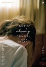 Жизнь в движении — Never Steady, Never Still (2017)