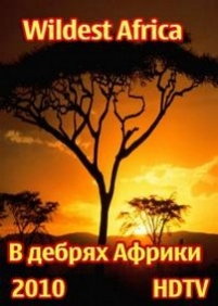 В дебрях Африки — Wildest Africa (2010-2011)