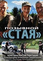 Позывной Стая — Pozyvnoj Staja (2013-2014) 1,2 сезоны